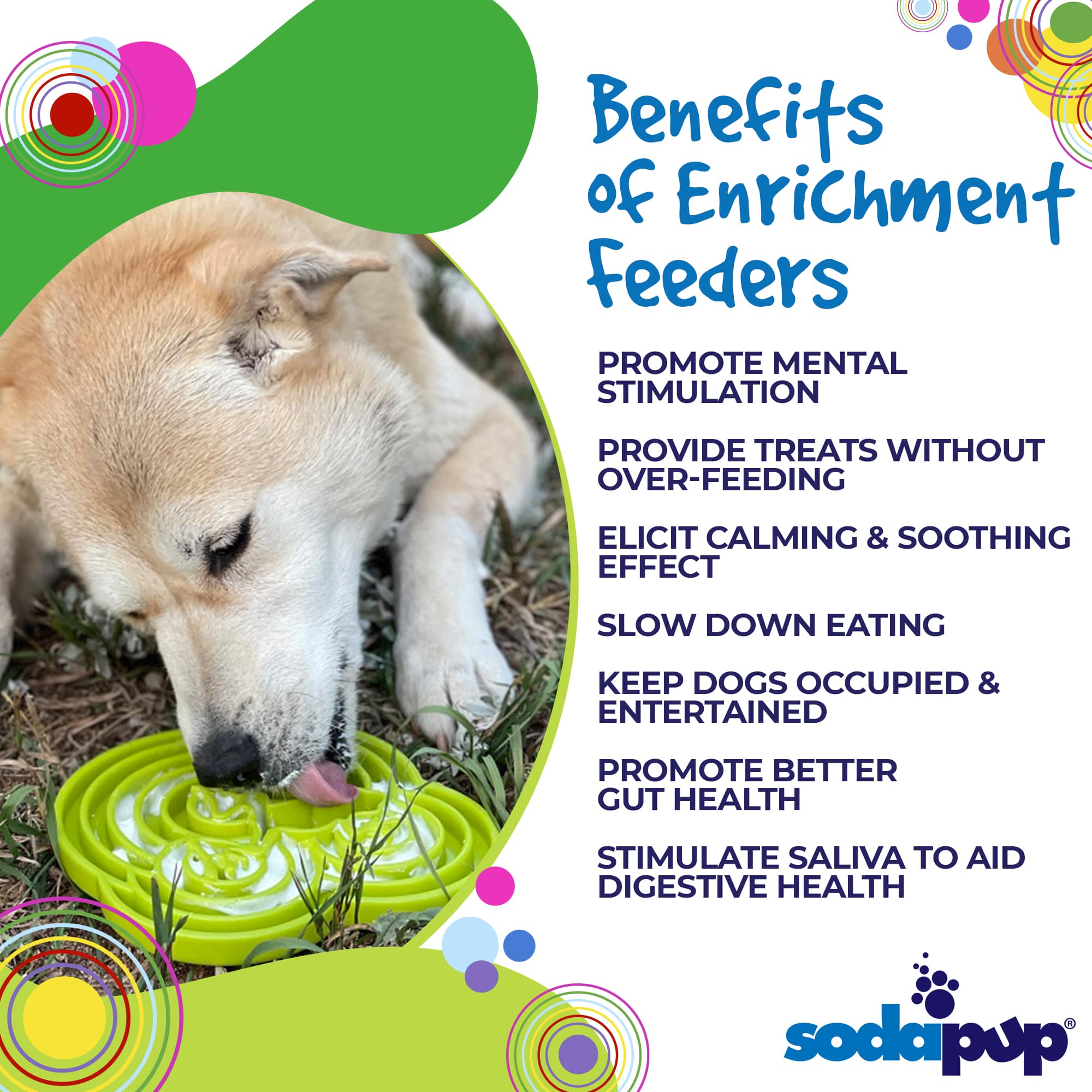Water Frog eTray - Shallow Slow Feeder Dog Bowl for Enrichment | USA Made
