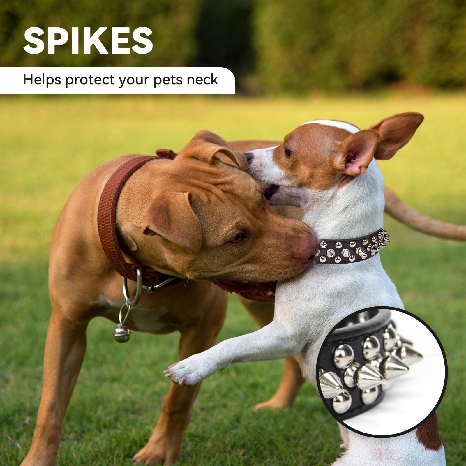 Small Spiked Black Dog Cat Collar For Small Medium Dogs - Adjustable Studded Puppy Collars - Soft Padded Punk Leather Dog Collar For Small Medium Breed Dogs