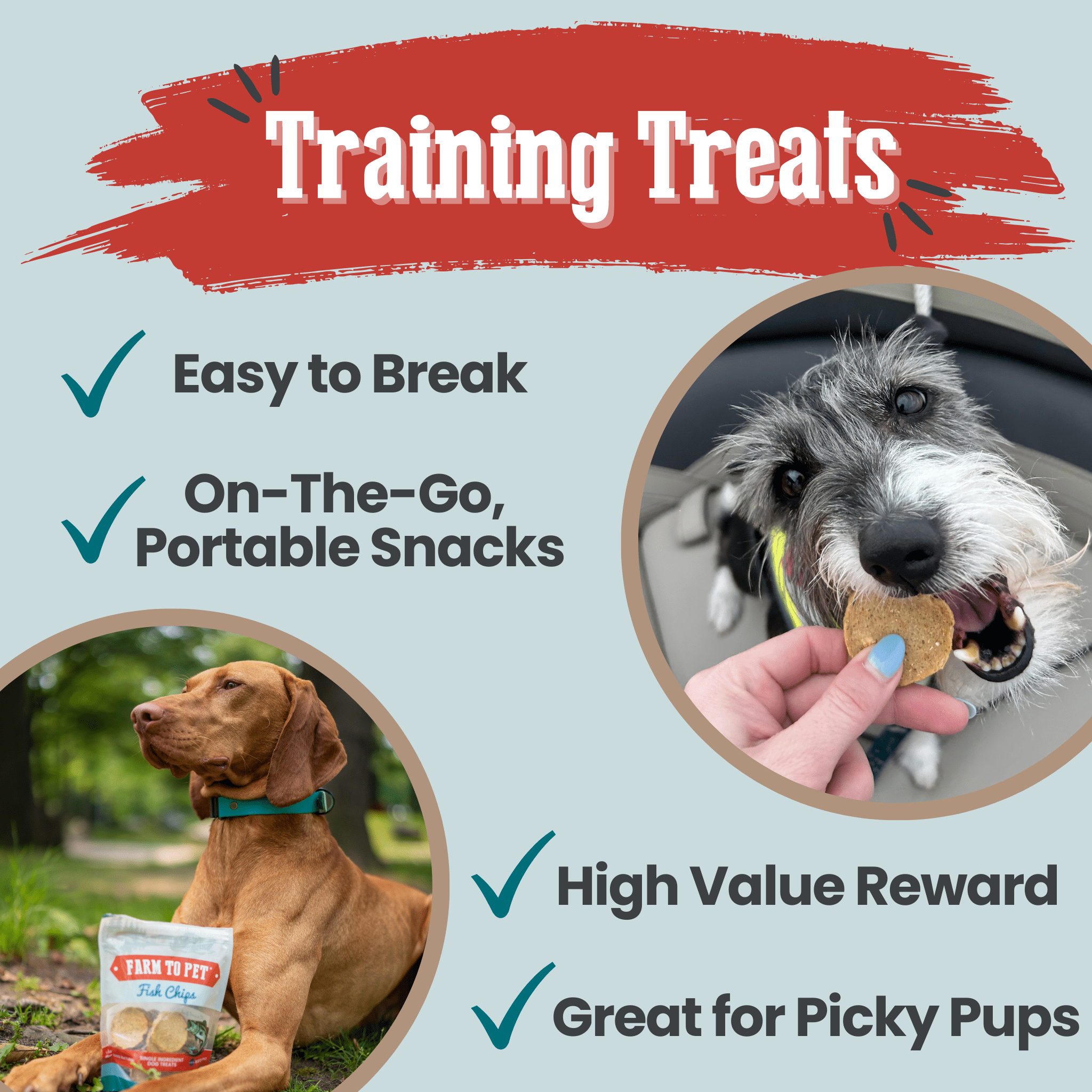 Fish Chips for Dogs | Wild-Caught Fish Dog Treats