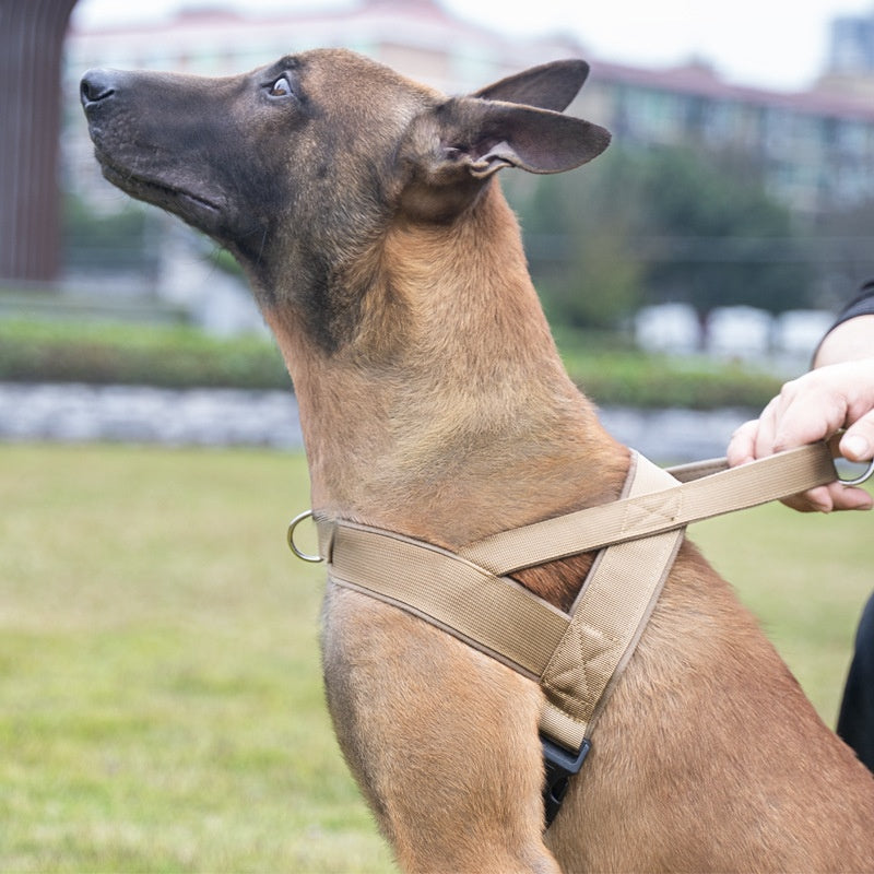 Dog Vest-style Harness