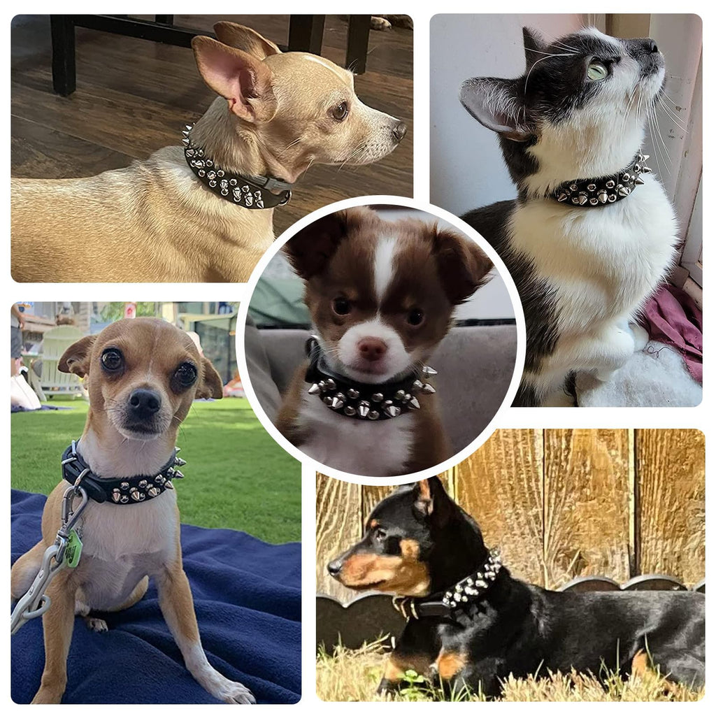 Small Spiked Black Dog Cat Collar For Small Medium Dogs - Adjustable Studded Puppy Collars - Soft Padded Punk Leather Dog Collar For Small Medium Breed Dogs